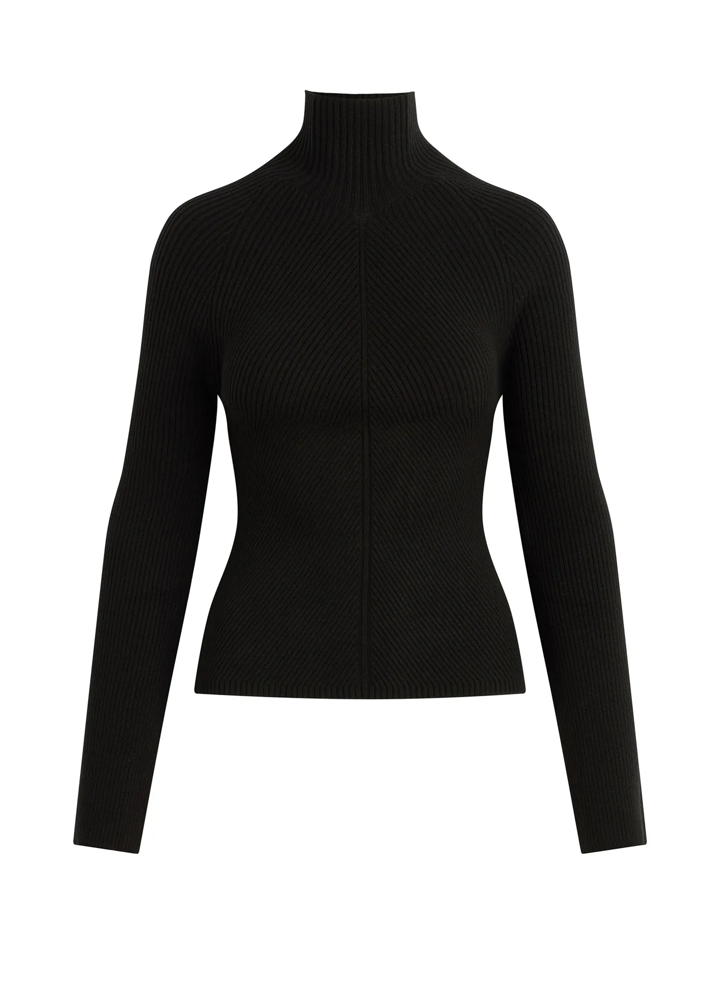 THE PALMER TURTLENECK